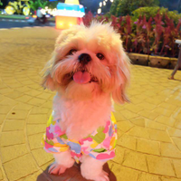 dogiebra