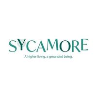 sycamorebinh01