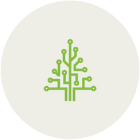 DigitalPine