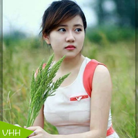 tonnygaet