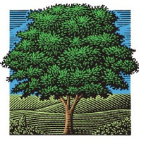 chestnutsquare
