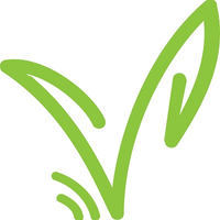veggiebuzz