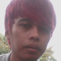 BGR88