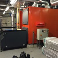 putneygaseng