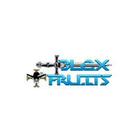 bloxfruitbiz
