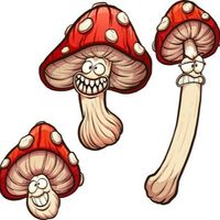 RufusYeskey
