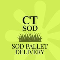 ctsodmilford