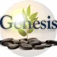 genesisibogainecenter