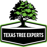 texastree