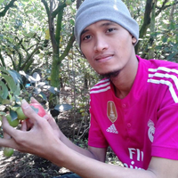 lamandala