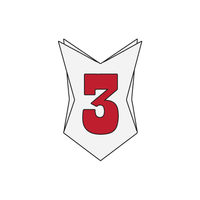 3nions