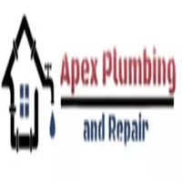 apexplumbingSEO1