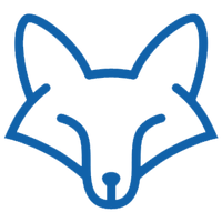 SEOFoxir