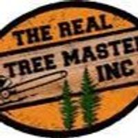 RealTreeMasters