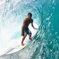 AdamSurfer