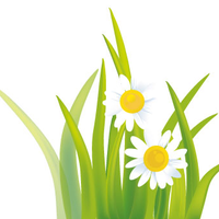 DaisyChainInvites