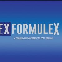Formulex1