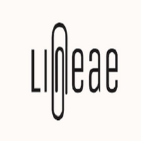 Lineae