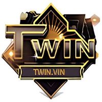 twin68top1