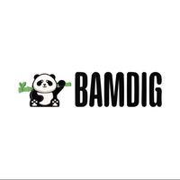 bamdig