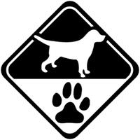 PerroMochilero