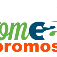 custom-earth-promos