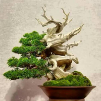 diskonproduk