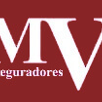 mvaseguradores