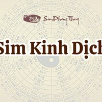 simkinhdichsptvn