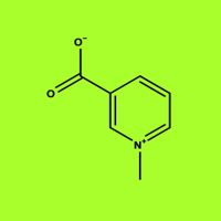Trigonelline.in