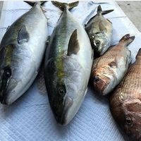 kanritsuriba