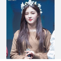 nancymcdonie