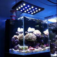 cnaquarium