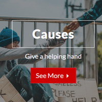 GreatCauses