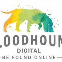 bloodhound_digital