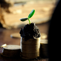 Nageshwar