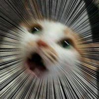 tindart389