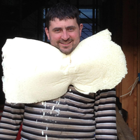 Absolute_Spray_Foam_Insulation