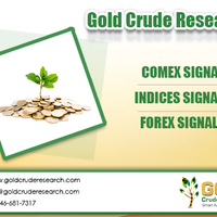 goldcruderesearch
