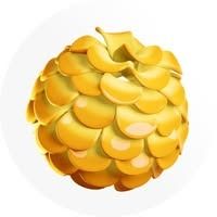 Projetsolaire