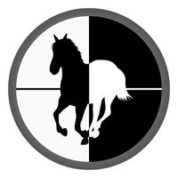 phukienosteed1