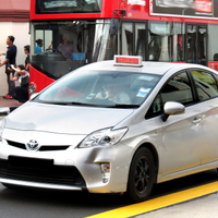 Bromleytaxis