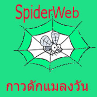 spiderweb159