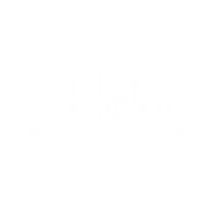 badsunsmerch