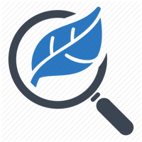 ozarseo