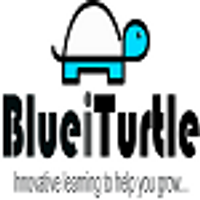 Blueiturtle