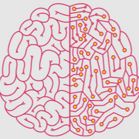 braincoachllc