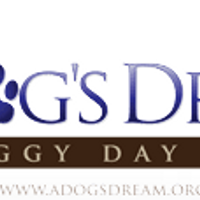 dogsdaycarerochester