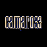 camaro33slot