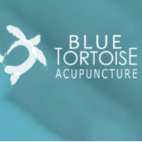 bluetortoise